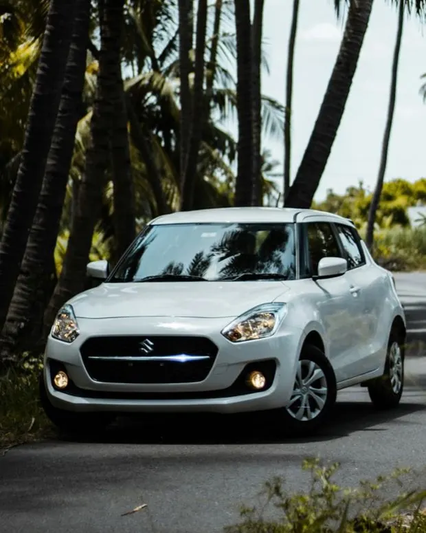 A car on a palm-lined highway on an outstation run